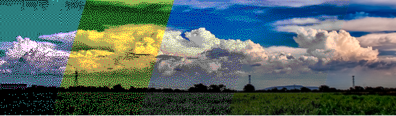Paisaje mostrando diferentes tipos de color