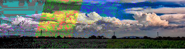 Paisaje mostrando diferentes tipos de color