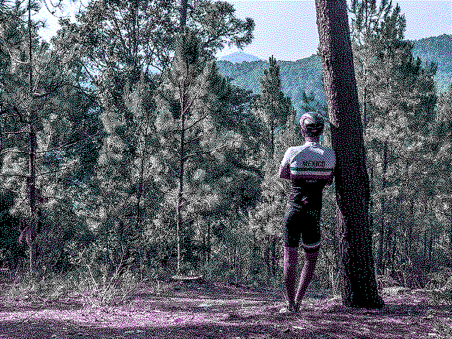 Foto propia en el bosque de un ciclista - CGA 1