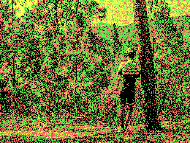 Foto propia en el bosque de un ciclista - CGA 2