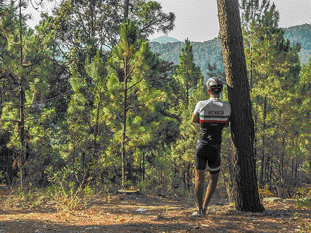 Foto propia en el bosque de un ciclista - EGA