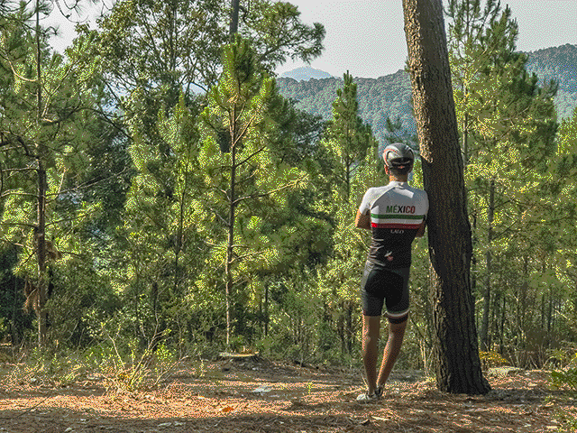 Foto propia en el bosque de un ciclista - VGA