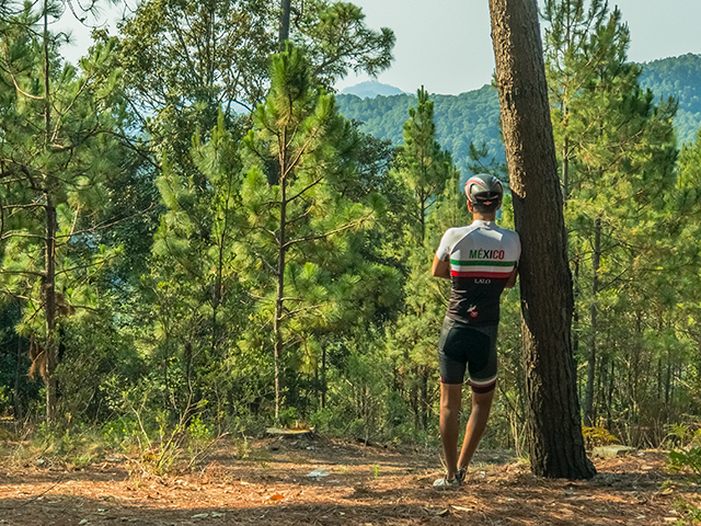 Foto propia en el bosque de un ciclista - 24 Bit